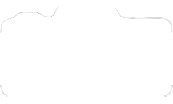 Vivid Photography